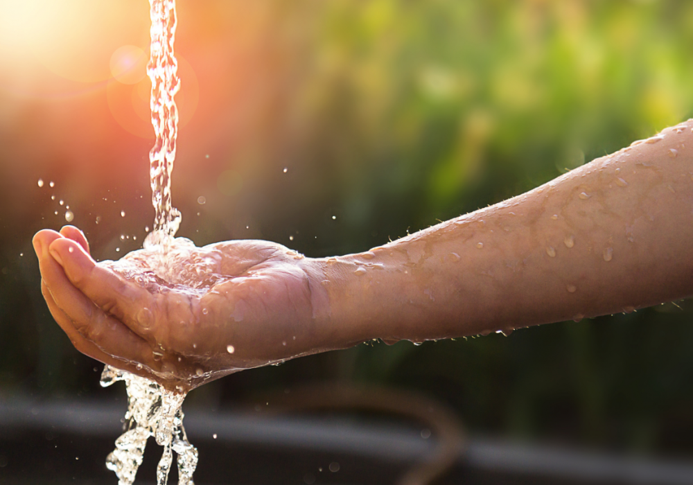 Copy of Untitled (2)