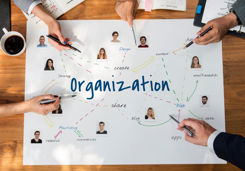 Organization-Team-Work
