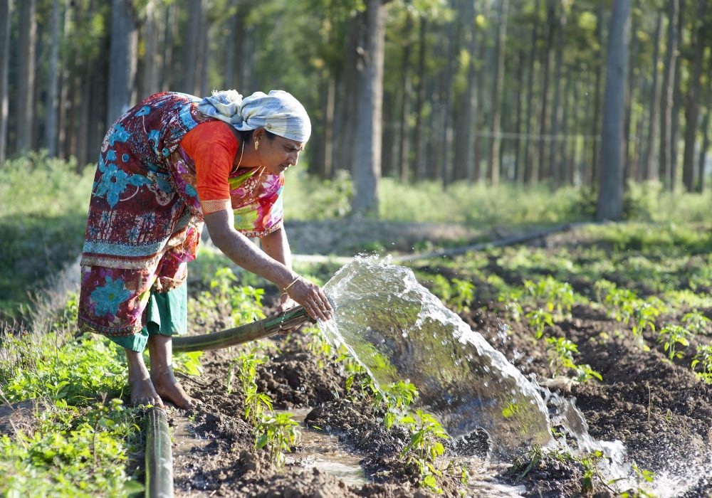 Woman-Farming